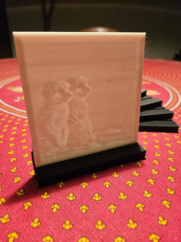 https://makerworld.bblmw.com/makerworld/model/USbe4715e939e8de/design/2024-01-29_4dd981ed3dae5.jpg