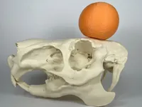 0.2mm layer, 3 walls, 8% infill