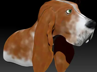 Basset Hound Bust "Himawari"