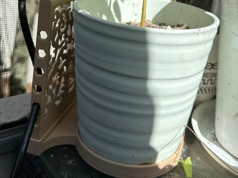 Planter Saucer with Decorative Irrigation Support