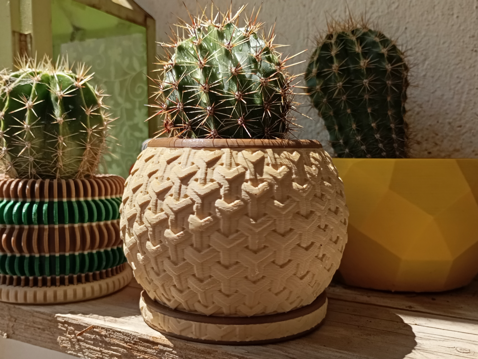 woven textured planter cactus pot