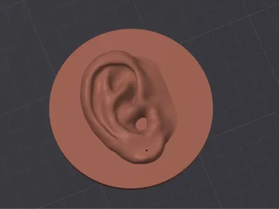 Ear for earring - Circular Backplate