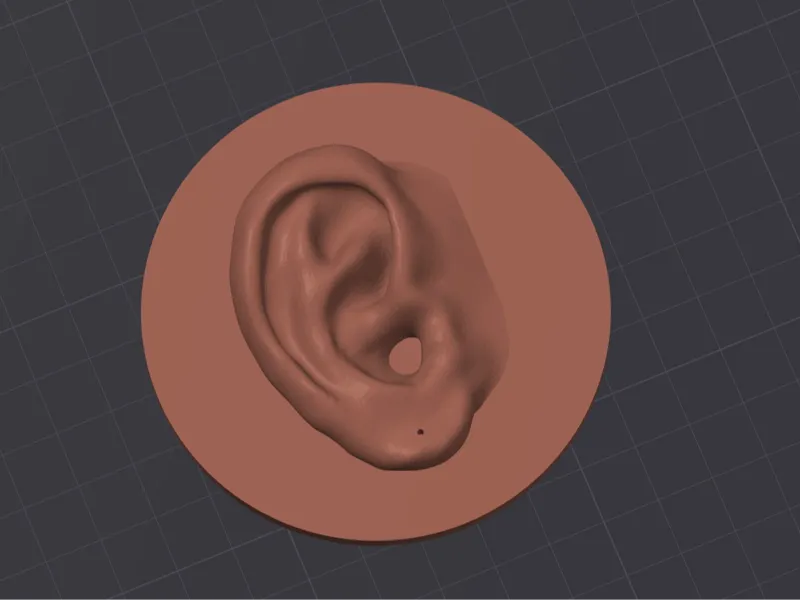 Ear for earring - Circular Backplate
