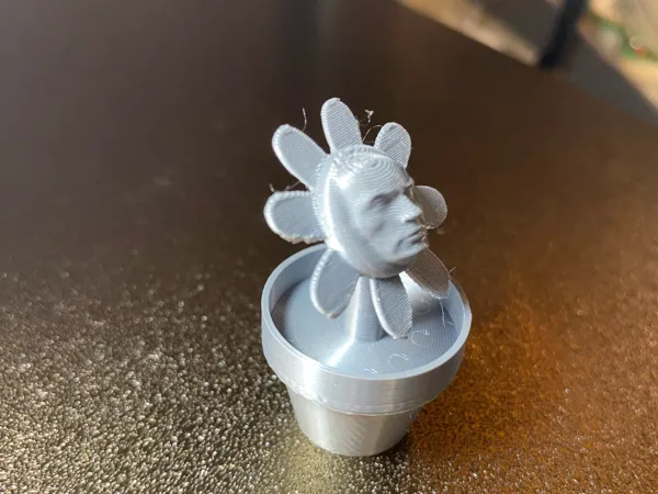 https://makerworld.bblmw.com/makerworld/model/USbe57fb42d3357e/design/2025-02-09_68f5a4aa4fe2b.jpeg