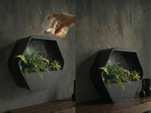 Wall & Table HexaRain | Zen Slow-Drip Planter