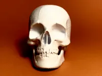 Crâne humain décoratif Halloween — photo 8