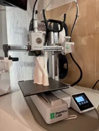 0.16mm layer, 2 walls, 15% infill 