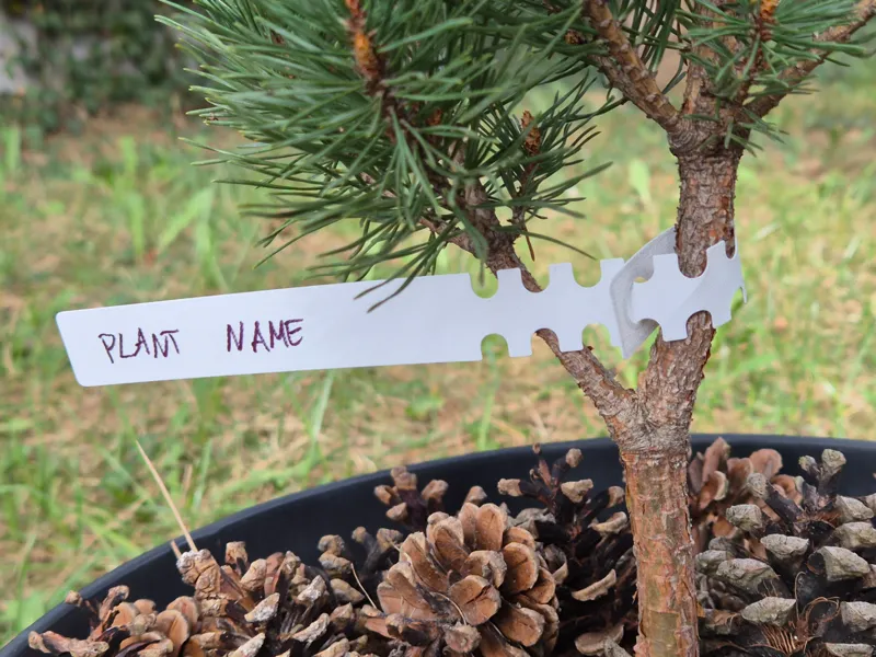 Plant Name Tag