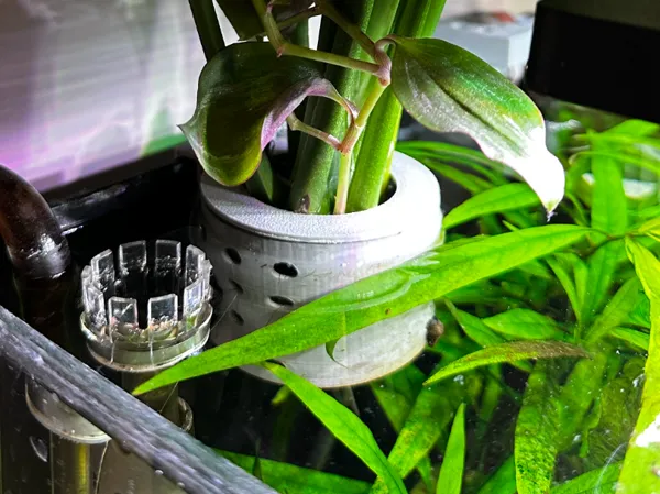 https://makerworld.bblmw.com/makerworld/model/USbe68206f456619/design/2024-11-25_3ef48fe335f4c.jpg