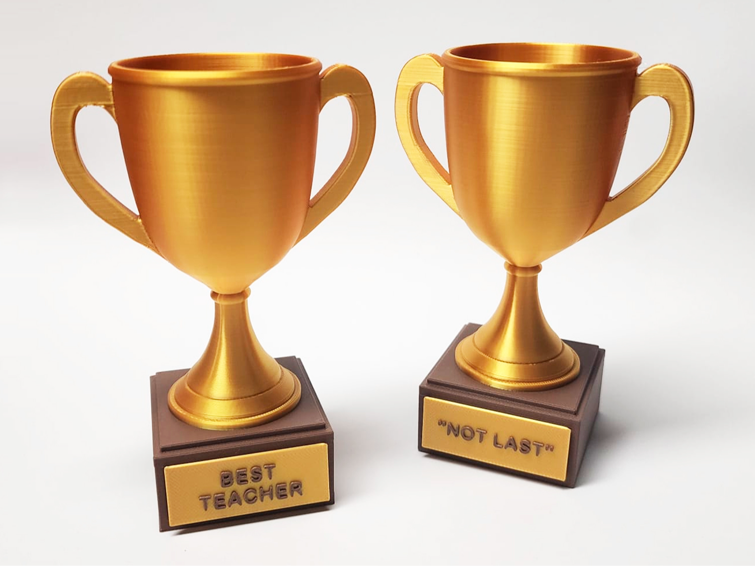 Trophy Cup with Easy Customizable Text Plate