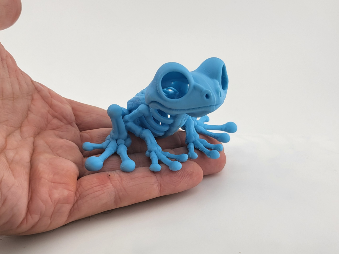Glow-in-the-Dark Skeleton Frog - 1