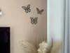 A1 - large butterflies (3 plates)