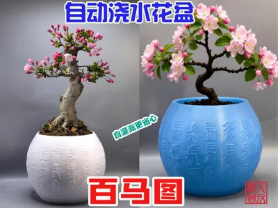 [Self-watering] Hundred Horses Self-watering Planter