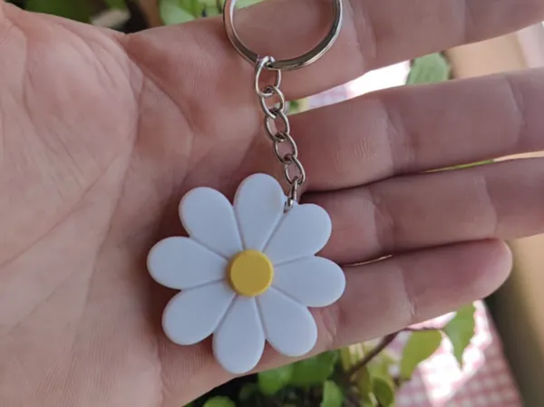 https://makerworld.bblmw.com/makerworld/model/USbe8143418488cd/design/2025-07-17_3f877ac10b42a.jpg