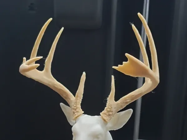 https://makerworld.bblmw.com/makerworld/model/USbe817b6a718ea7/design/30dec738e83ec39f.jpg