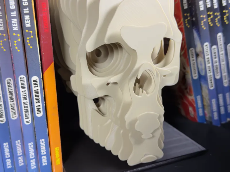 Layered Skull Book Nook