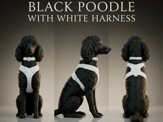 Black Poodle with White Harness |Dog Figurine