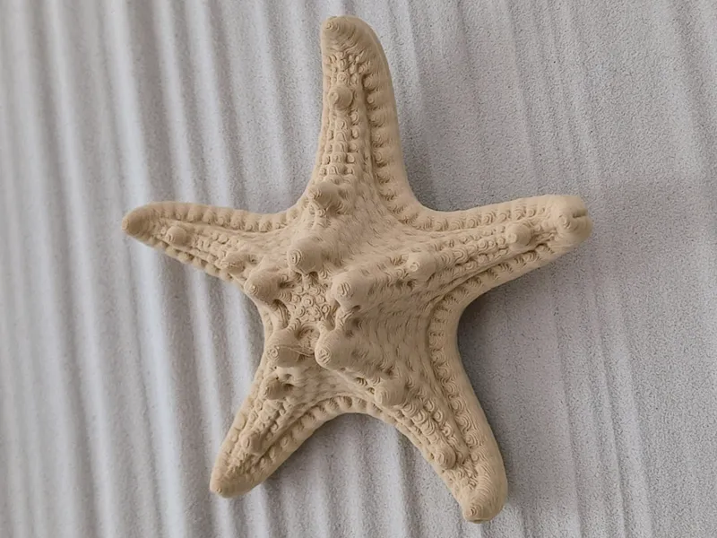 Starfish Hanging Ornament