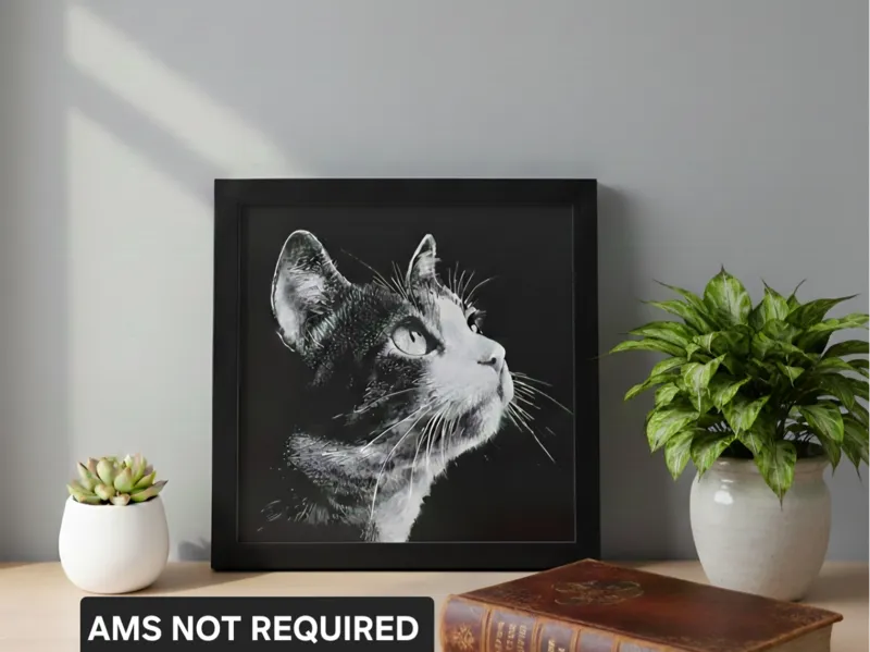 Beautiful Cat Portrait