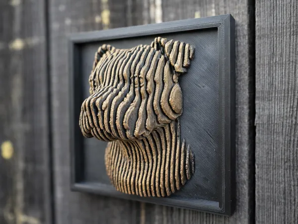 https://makerworld.bblmw.com/makerworld/model/USbe947606906a2c/design/32033b605dc46a2e.png