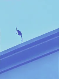 0.2mm 层高, 2 层墙, 15% 填充