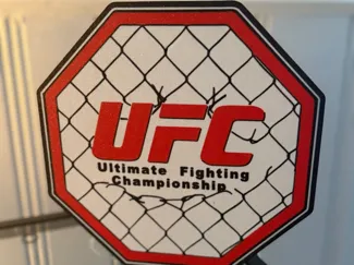 UFC Cage Lightbox