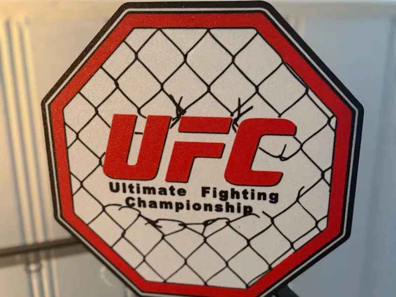 UFC Cage Lightbox