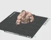 100% size, scar-free body, body main part only, scale as needed