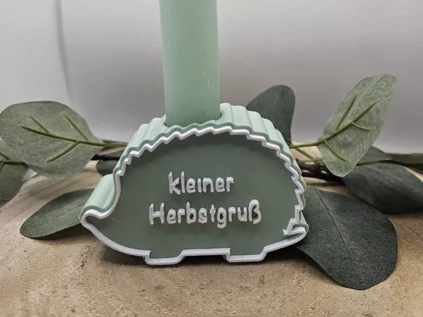https://makerworld.bblmw.com/makerworld/model/USbea0f9079a9166/design/2025-08-16_d3543432b5f2d8.jpg