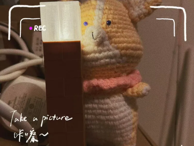 我的世界火把