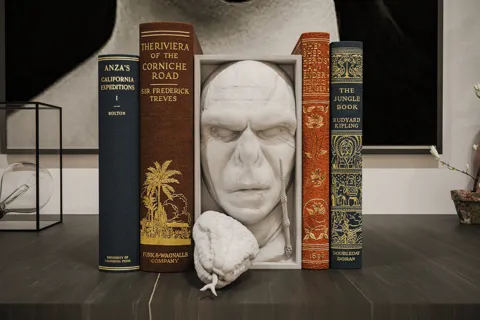 Voldemort Book Nook and Wall Mount view 2