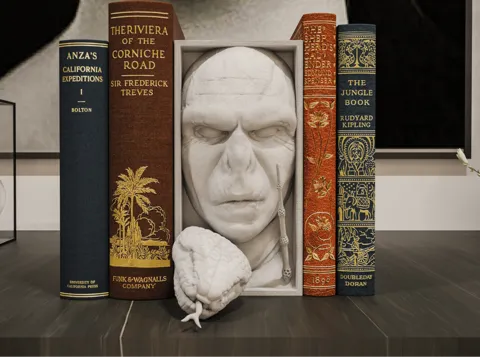 Voldemort Book Nook and Wall Mount