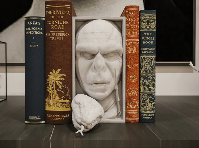 Voldemort Book Nook and Wall Mount