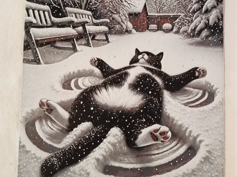 Snow Angel Cat 2