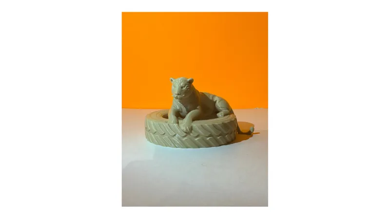 Leopard on a tire