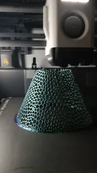 75%, Silk 0.2mm layer, 2 walls, 15% infill