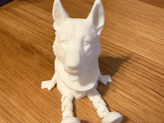 Dog buddy