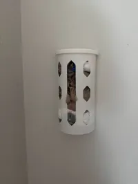 + lid