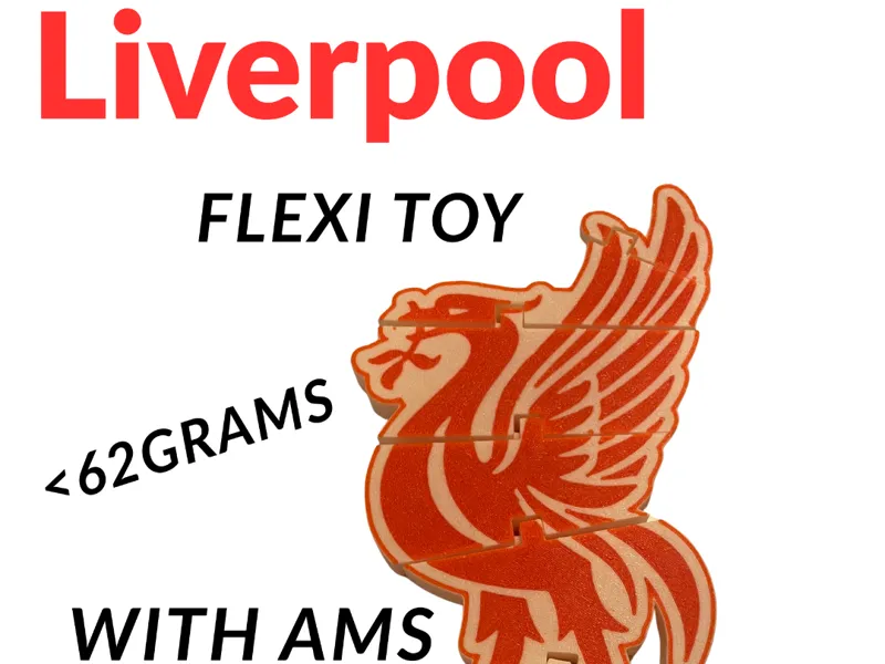 Liverpool flexi toy