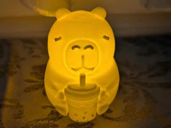 https://makerworld.bblmw.com/makerworld/model/USbecc7c9c5617d4/design/2025-11-11_29d1d67ec54e5.jpg