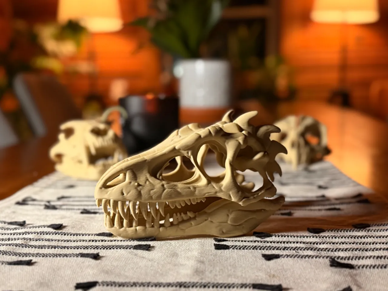 Dinosaur Skull Fossil view 2