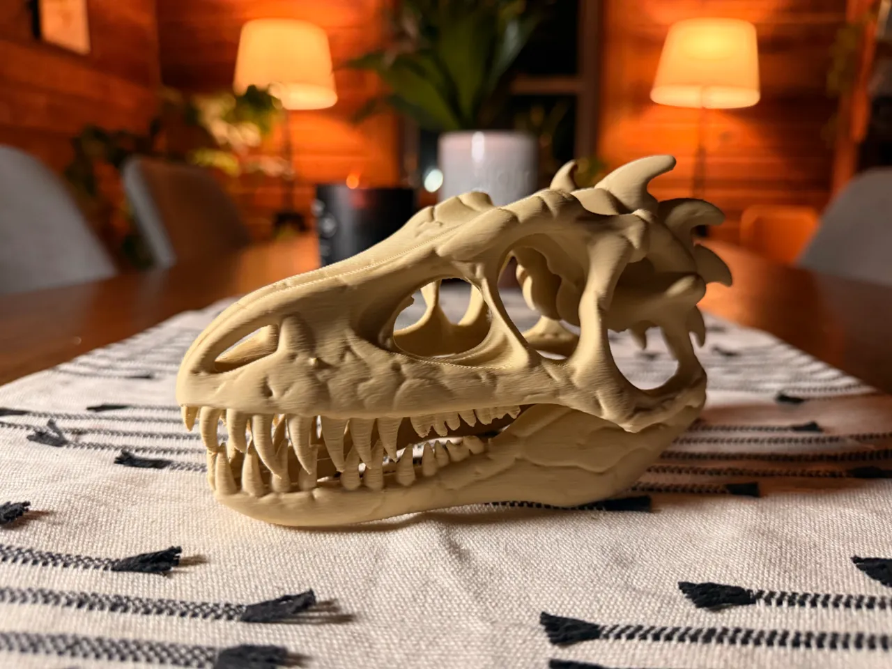 Dinosaur Skull Fossil view 4