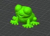 Cute frog one color