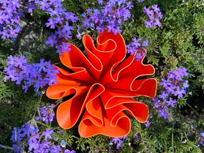 Petal Wave Vase