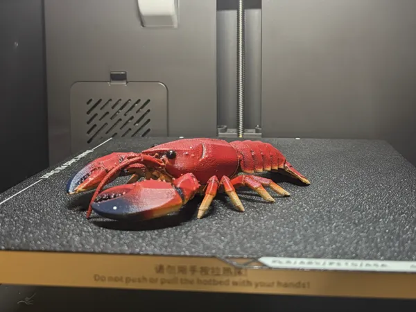 https://makerworld.bblmw.com/makerworld/model/USbed6a6d8b744d5/design/2026-01-13_942dafa6ed1218.png