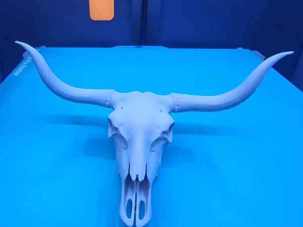 https://makerworld.bblmw.com/makerworld/model/USbeda52994ebdd8/design/a1a3d55d2a8d2448.jpg
