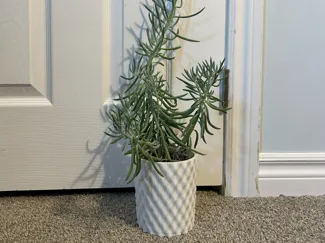 "Broken Diamond" Flower Pot