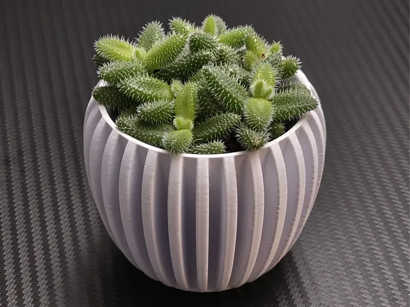 Ribbed succulent pot