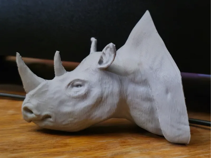 Rhino Bust