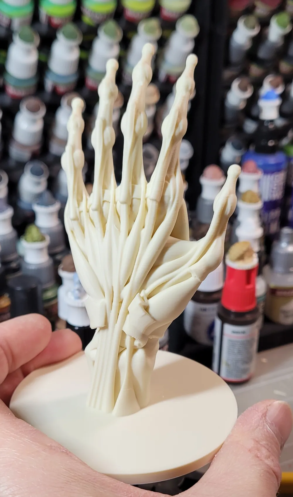 anatomy hand muscle&bones - Free 3D Print Model - MakerWorld